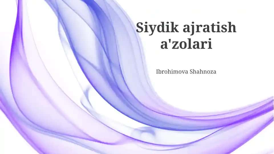 Siydik ajratish a'zolari taqdimoti