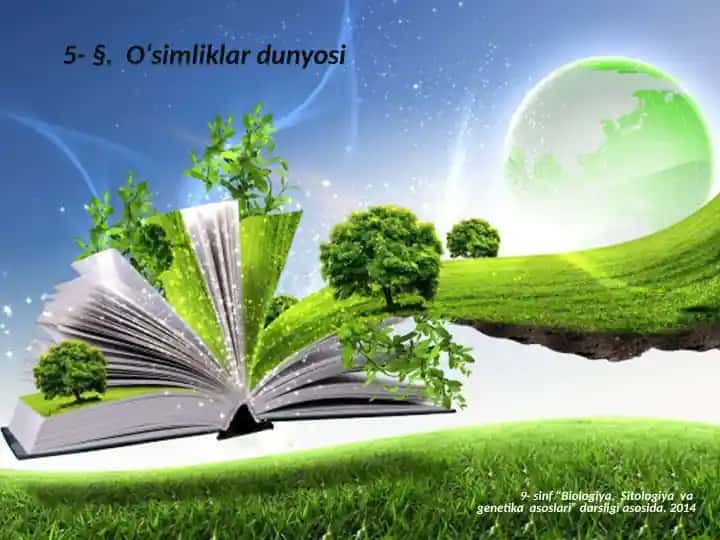 O‘simliklar dunyosi