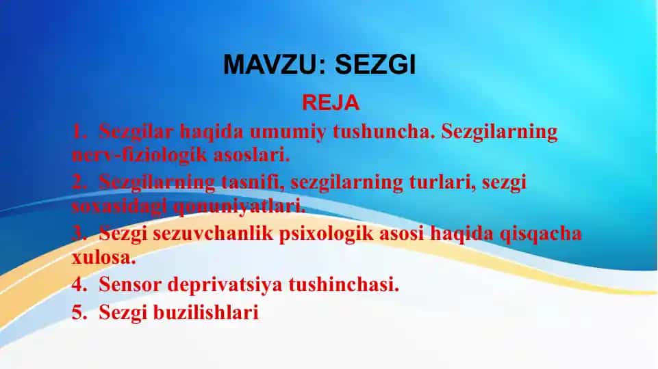 Sezgilarning nerv-fiziologik asoslari