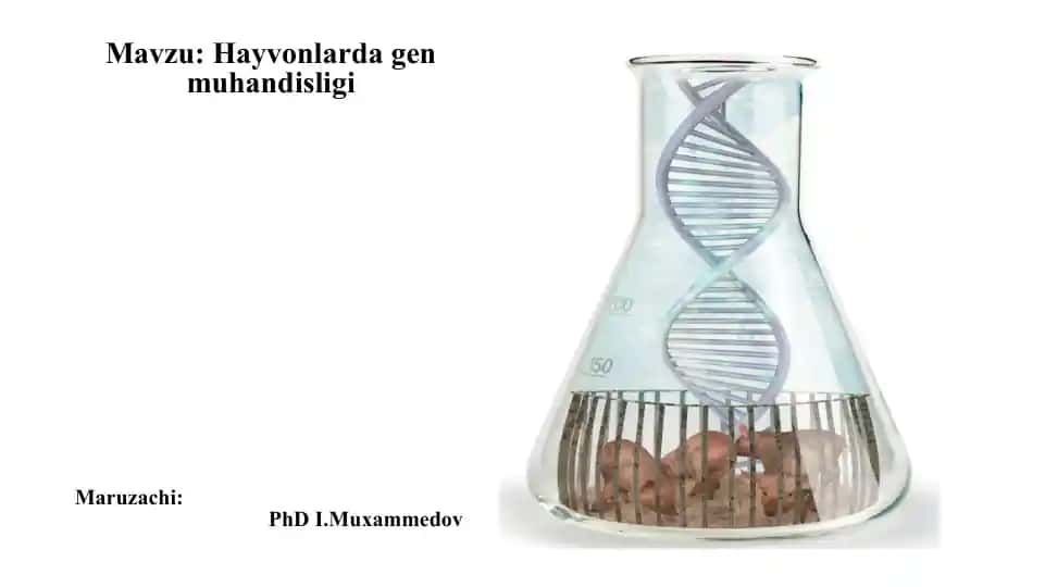 Transgen hayvonlarning yaratilishi
