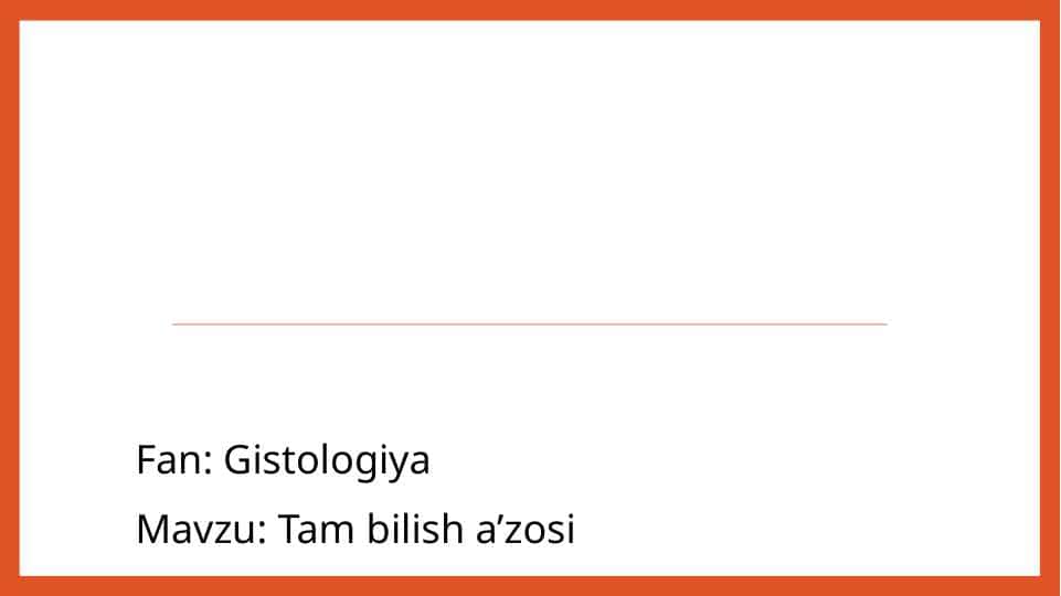 Tam bilish a’zosi
