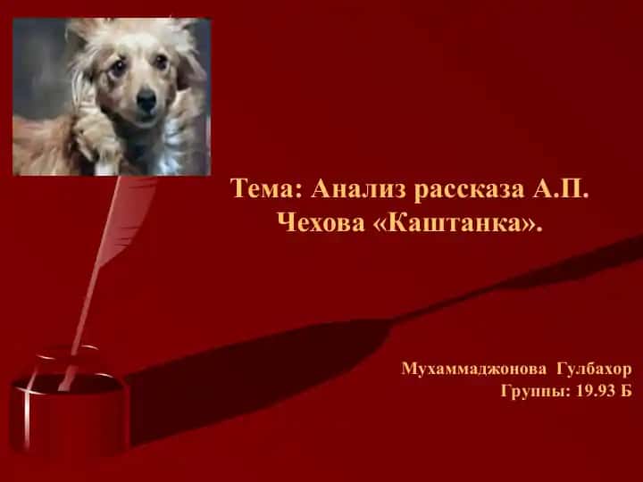 Анализ рассказа А.П. Чехова Каштанка.