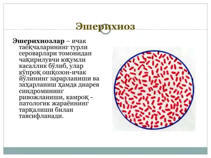 Эшерихиоз