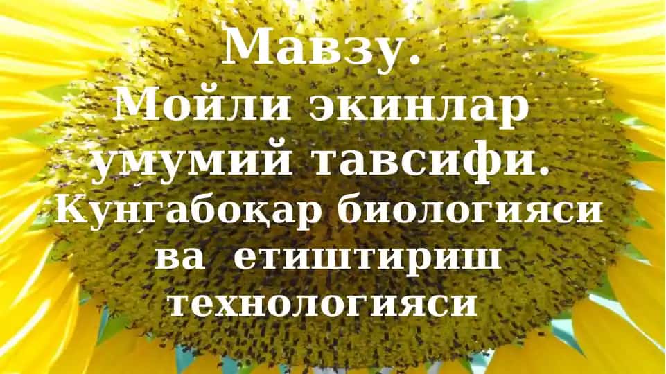 Мойли экинлар