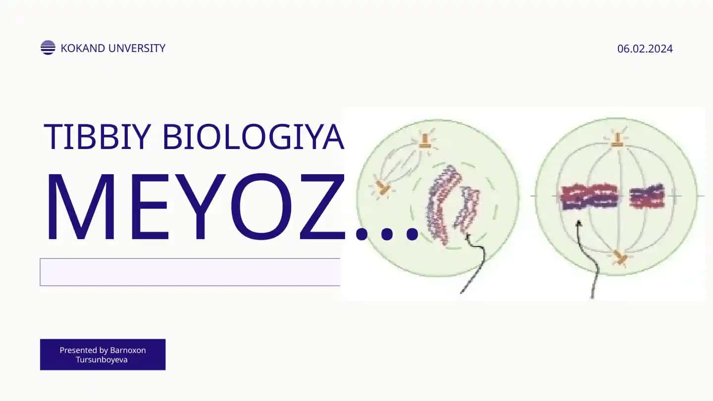 MEYOZ