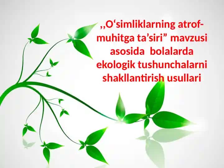 O‘simliklarning atrof-muhitga ta’siri