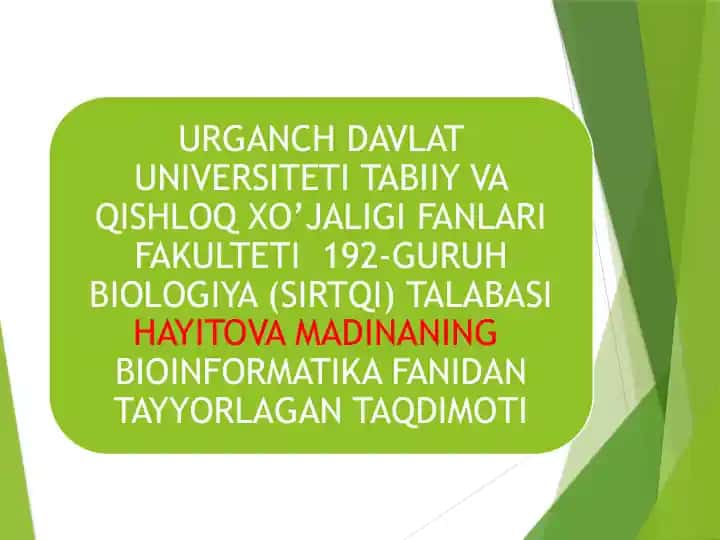 Sun'iy neyron to'rlari