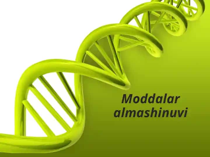 Moddalar almashinuvi