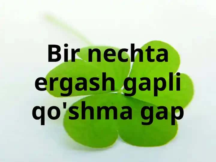 Bir nechta ergash gapli qo'shma gap