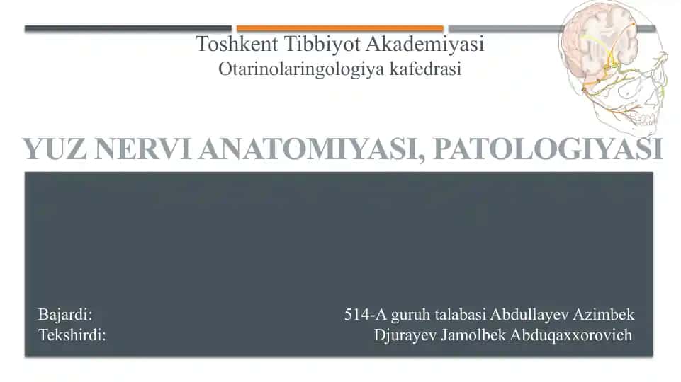 YUZ NERVI ANATOMIYASI, PATOLOGIYASI