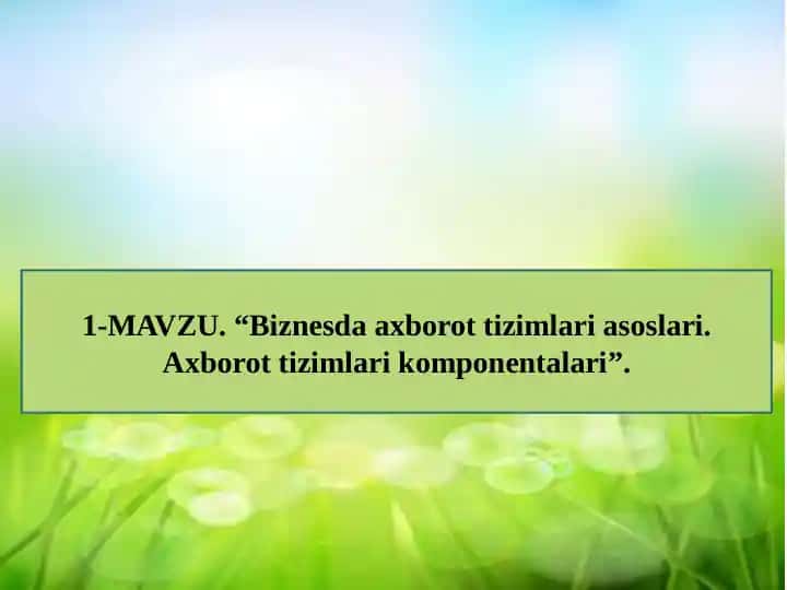 Biznesda axborot tizimlari asoslari. Axborot tizimlari komponentalari