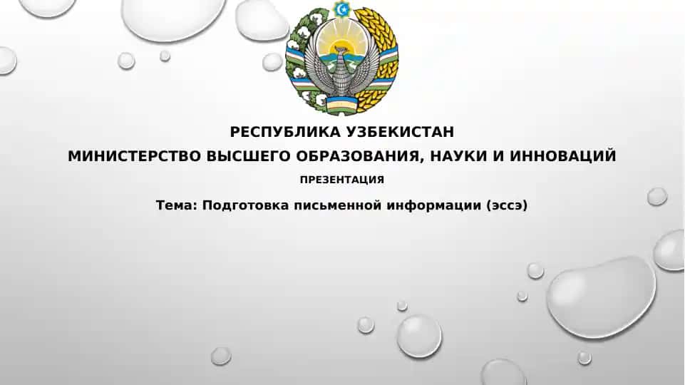 Подготовка письменной информации(эссэ)