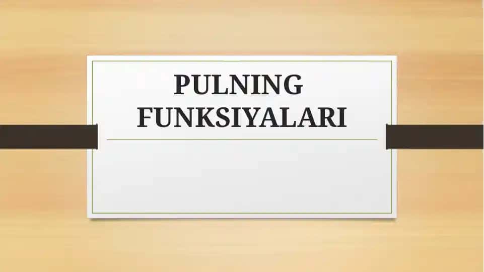 PULNING FUNKSIYALARI