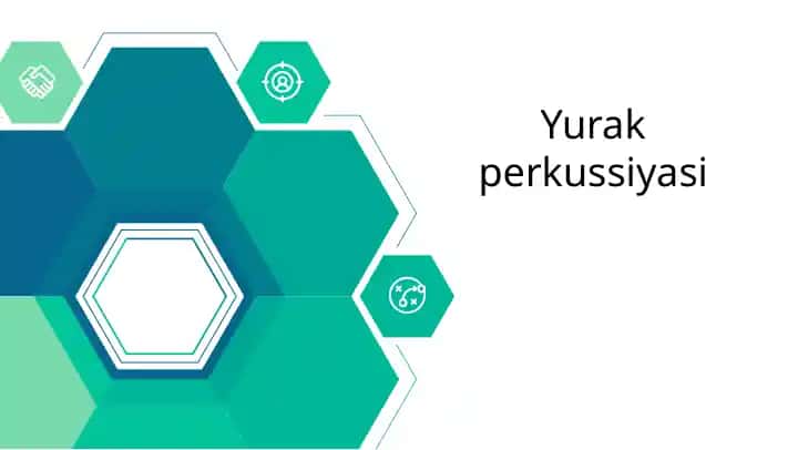 Yurak perkussiyasi