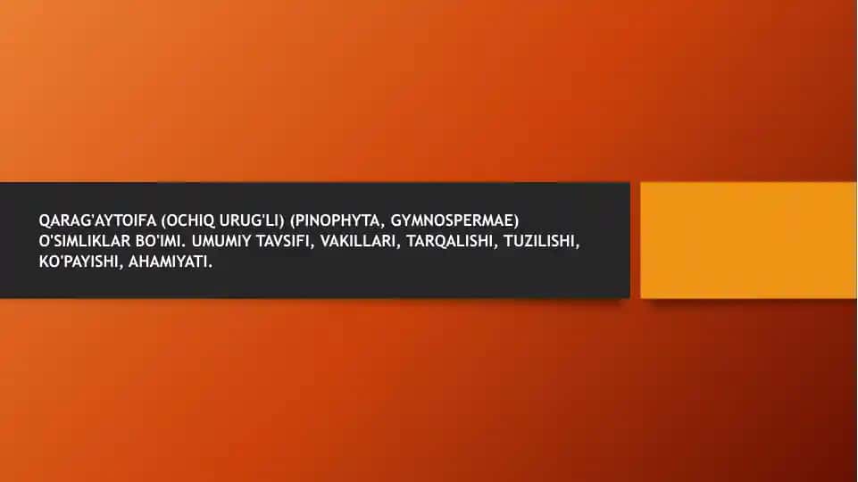 Qarag'aytoifa (Ochiq urug'li) (Pinophyta, Gymnospermae) o'simliklar bo'imi