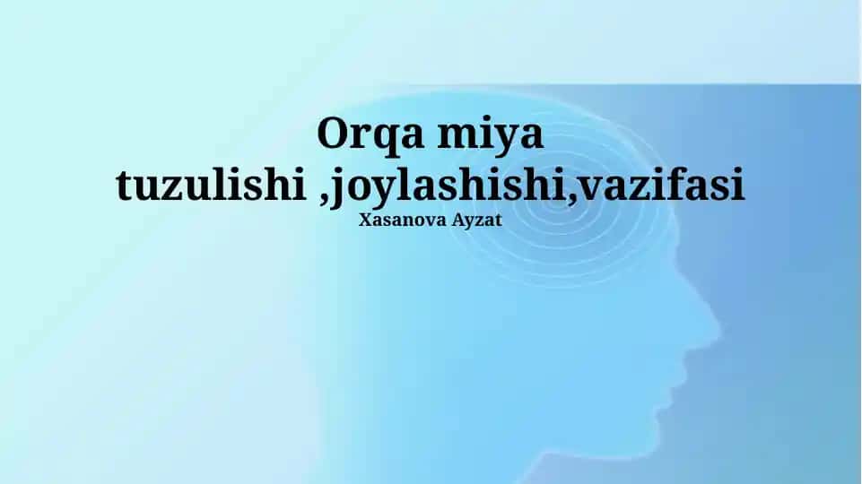 Orqa miya tuzulishi ,joylashishi,vazifasi