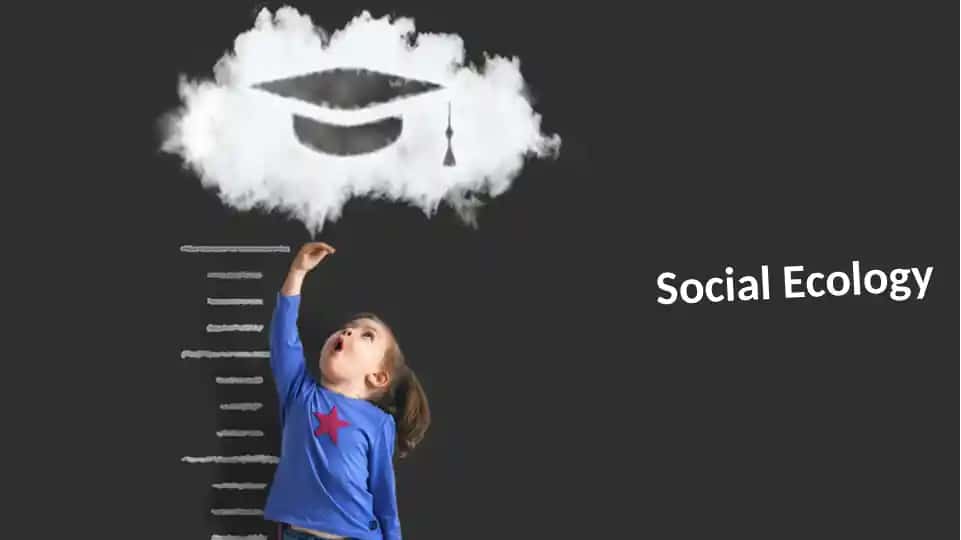 Social Ecology