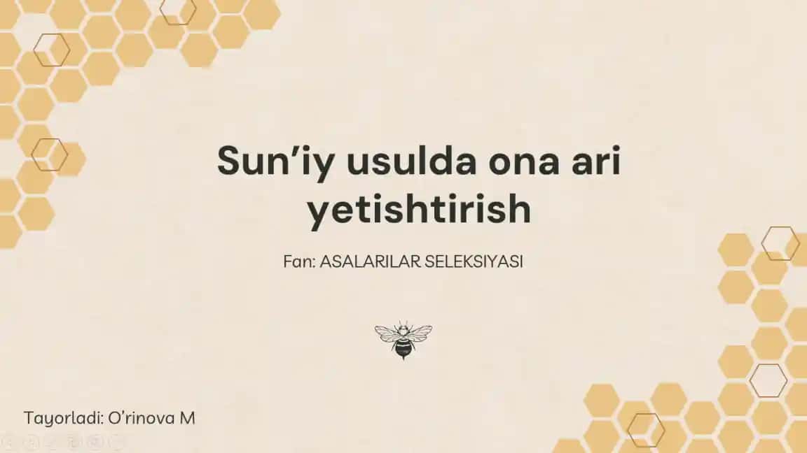 Sun'iy Usulda Ona Ari Yetishtirish