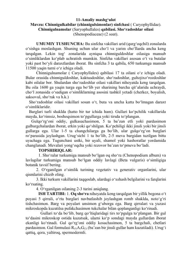 Chinnigulkabilar (Chinnigulsimonlar) sinfchasi