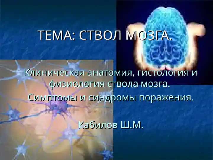 Stvol mo'zga
