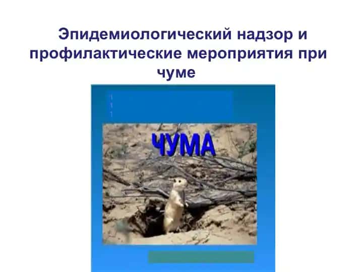 Эпидемиологический надзор и профилактические мероприятия при чуме