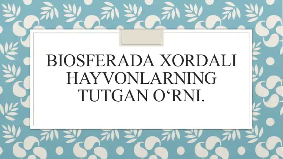 Biosferada xordali hayvonlarning tutgan o‘rni