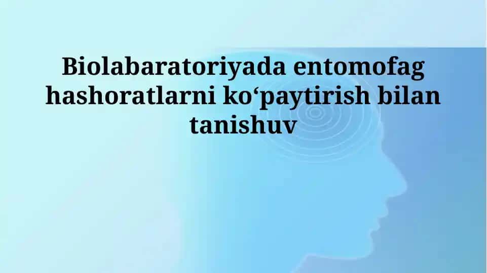 Entomofaglar