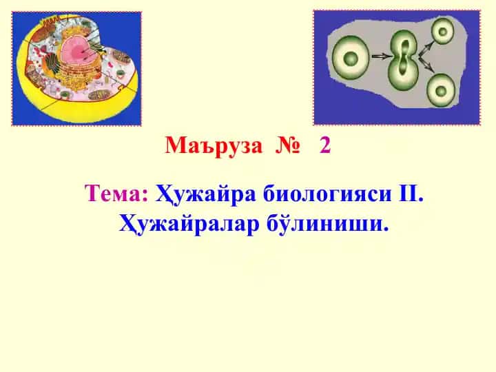 Ҳужайра биологияси II. Ҳужайралар бўлиниши