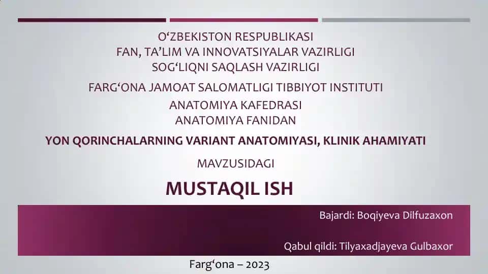 Yon Qorinchalar Anatomiya