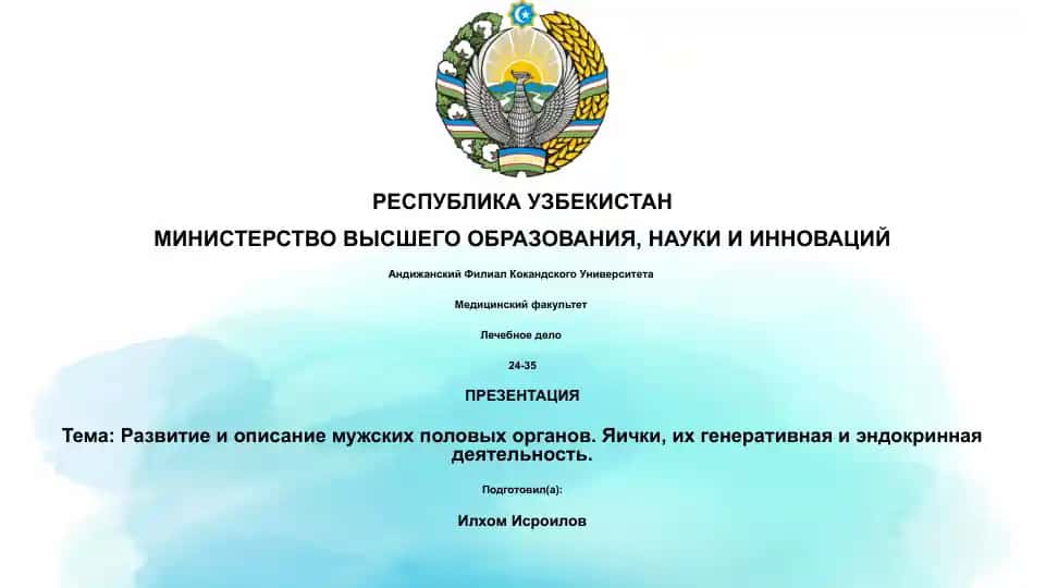 Развитие и описание мужских половых органов