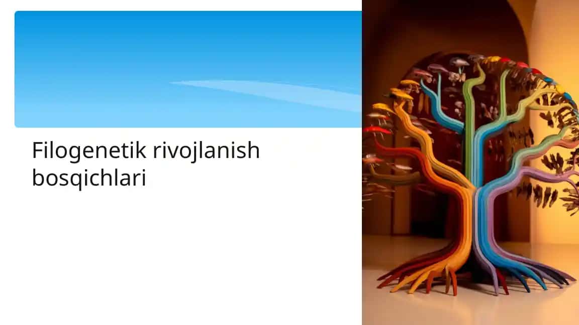 Filogenetik rivojlanish bosqichlari