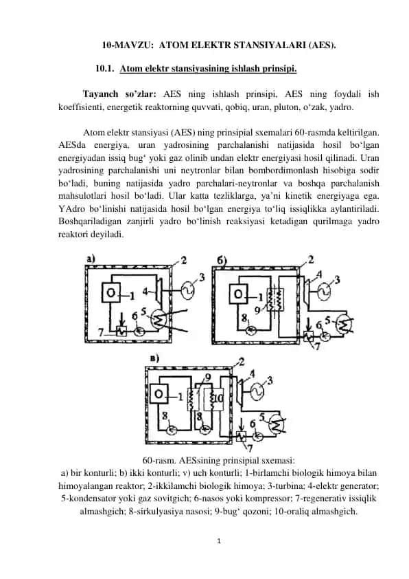 Atom Elektr Stansiyalari (AES)