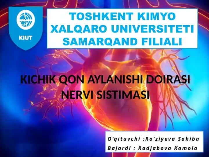 KICHIK QON AYLANISHI DOIRASI NERVI SISTIMASI