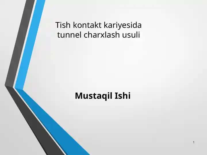 Mustaqil Ishi