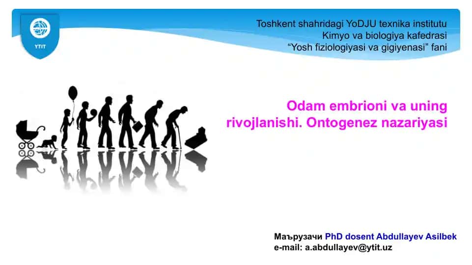 Odam embrionining rivojlanishi. Ontogenez nazariyasi