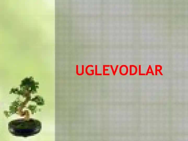 Uglevodlar