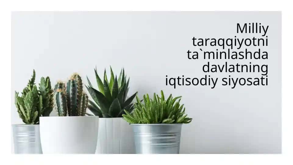 Milliy taraqqiyotni ta`minlashda davlatning iqtisodiy siyosati