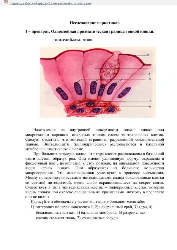 Исследование наркотиков