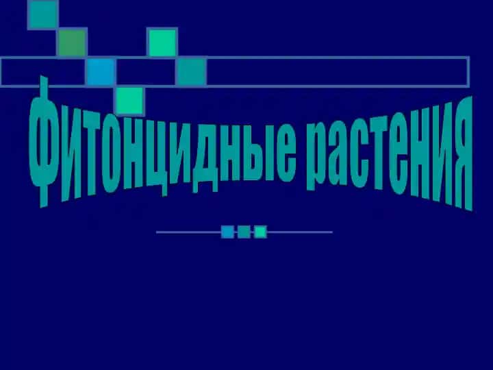 Фитонцидные растения