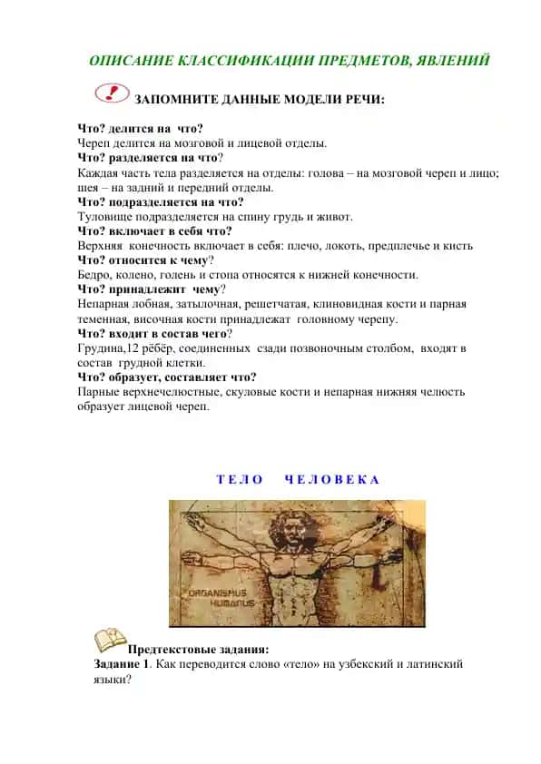 ОПИСАНИЕ КЛАССИФИКАЦИИ ПРЕДМЕТОВ, ЯВЛЕНИЙ
