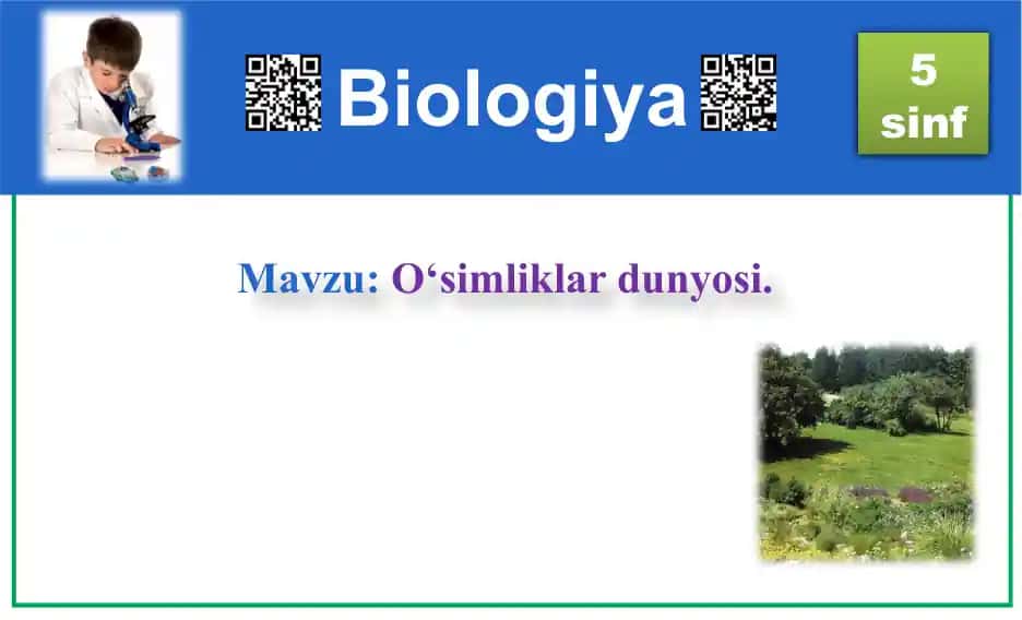 O‘simliklar dunyosi