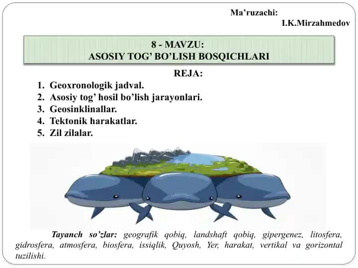 Asosiy to'g' bo'lish bosqichlari