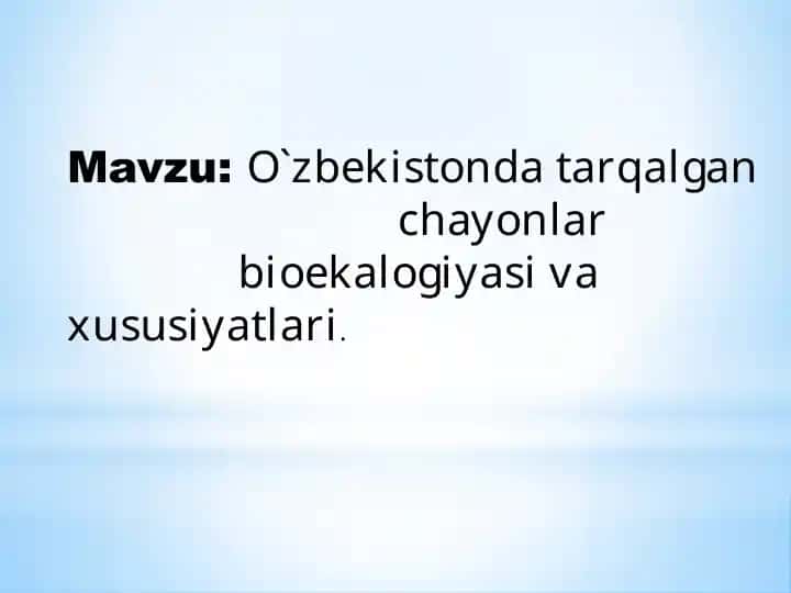 O`zbekistonda tarqalgan chayonlar