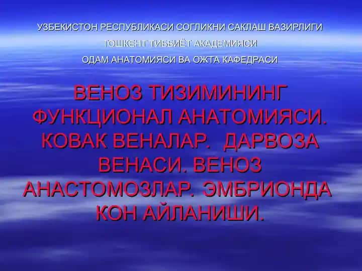 Venoz tiziminin funksional anatomiyasi