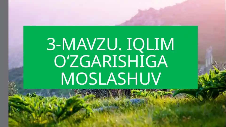 Iqlim oʻzgarishiga moslashuv