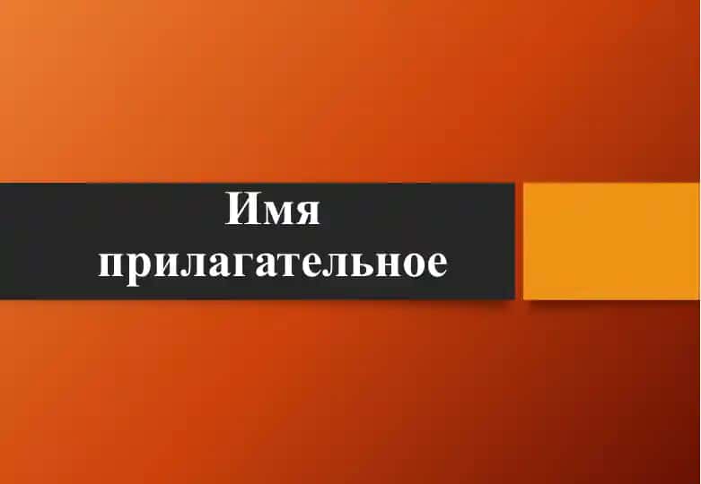 Имя прилагательное