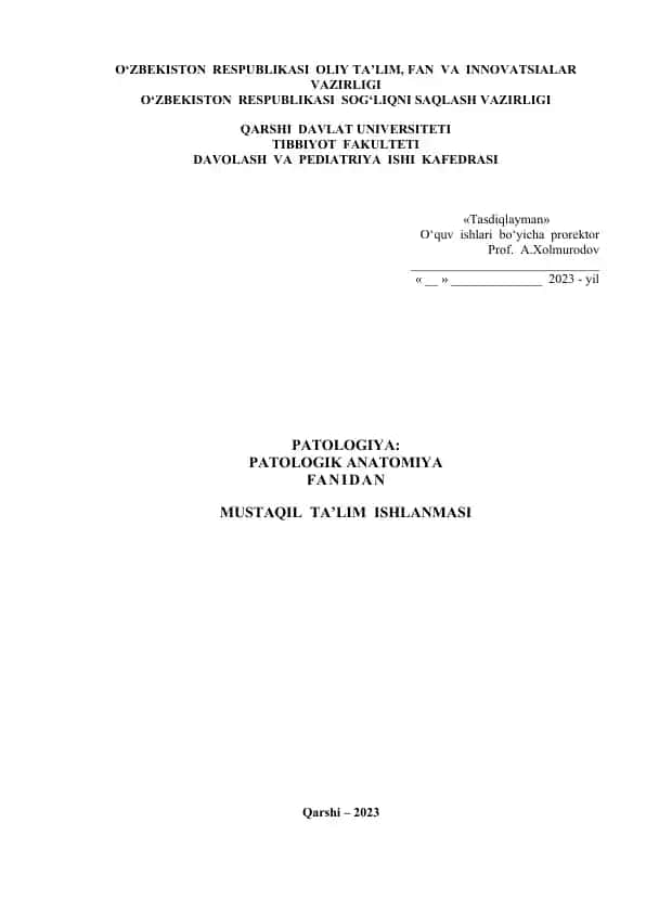 MUSTAQIL TA’LIM ISHLANMASI