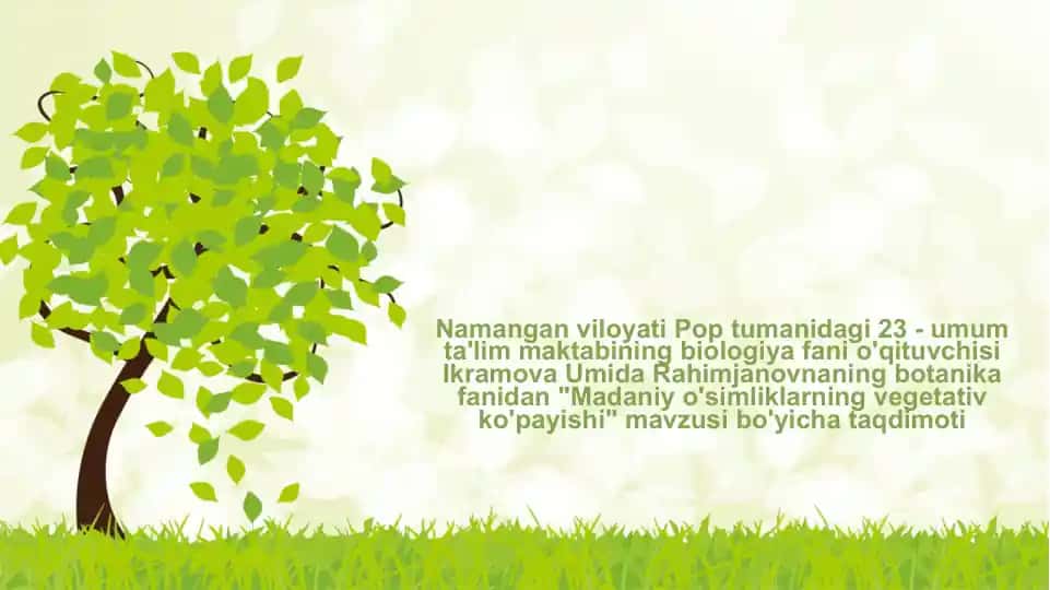 Madaniy O'simliklarning Vegetativ Ko'payishi