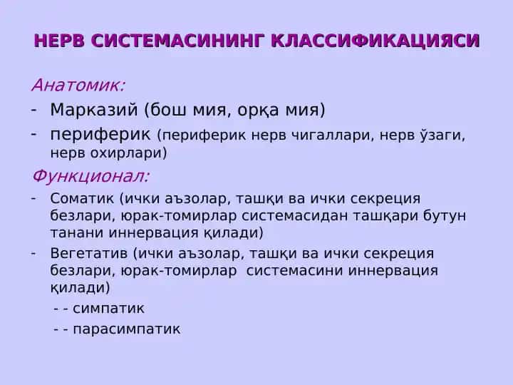 НЕРВ СИСТЕМАСИНИНГ КЛАССИФИКАЦИЯСИ