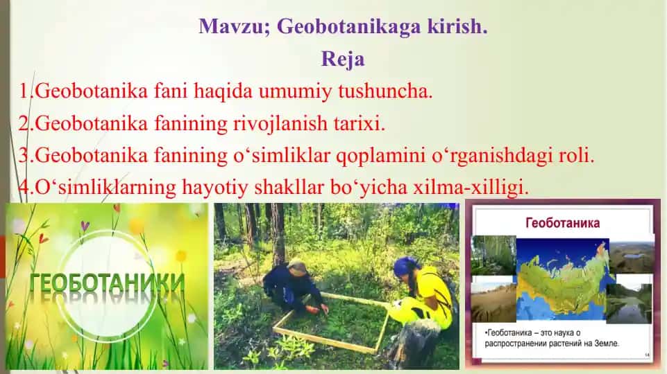 Geobotanika